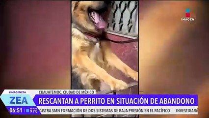 Rescatan a perrito que vivía en condiciones de abandono en la Col. Centro, CDMX