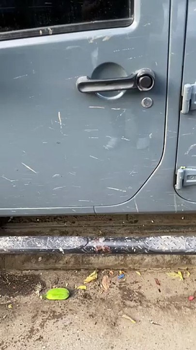 Conductor se accidenta con 15 haitianos indocumentados intentando escapar de miembros del Ejército en Valverde