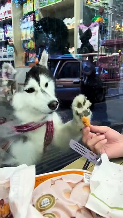 Ok,buddy? ?