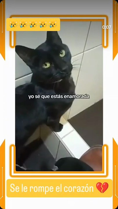 Que lindo