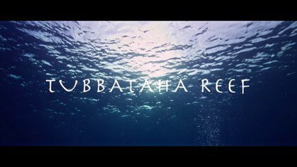 Beneath Still Waters Cinematic Glimpse of Tubbataha Reef