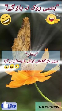 Pathan Apni Biwi Ko Ghumane Le Gaya | Funny Video | Must Watch 😂Funny Latifay Official Urdu Jokes Hub Latifay &