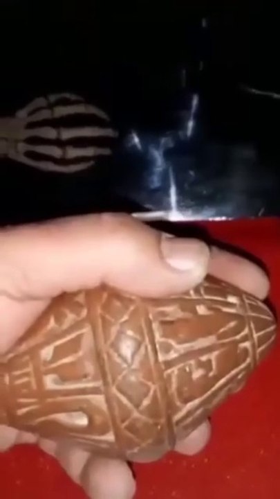 بلحه فرعونية