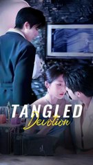 Tangled Devotion