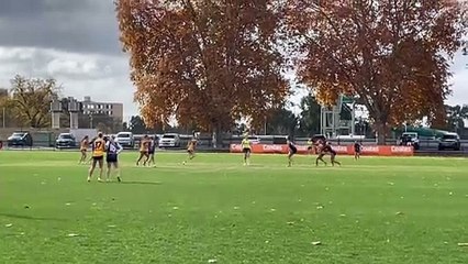 Bendigo Pioneers Girls v Dandenong Stingrays - June 7, 2025.