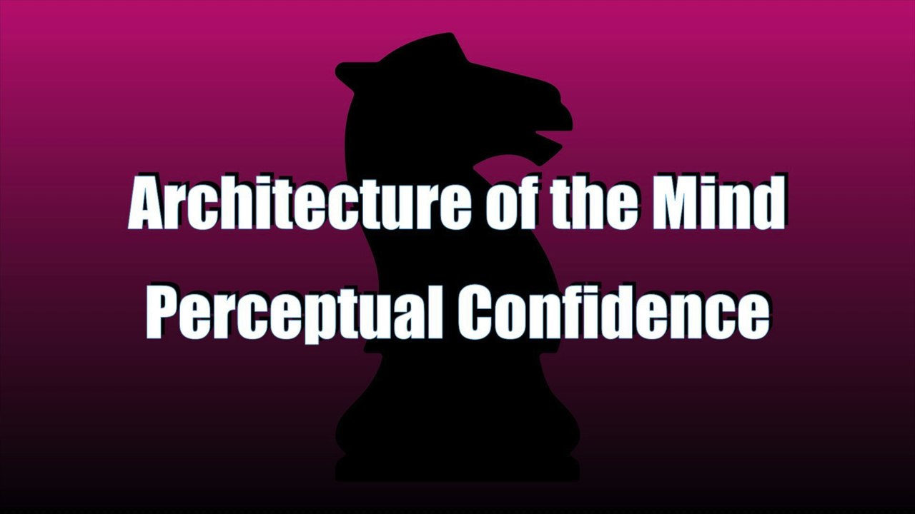 Perceptual Confidence - Podcast