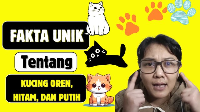 Fakta Unik tentang Kucing Oren, Hitam, dan Putih