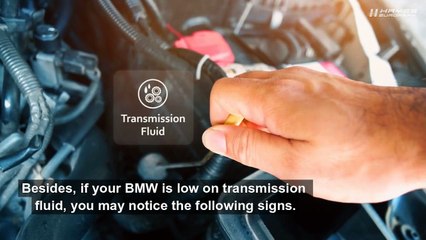How Do I Know If My BMW Is Low On Transmission Fluid