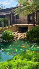 Discover Peace at the Self-Realization Fellowship Temple – Pacific Palisades’ Hidden Spiritual Gem