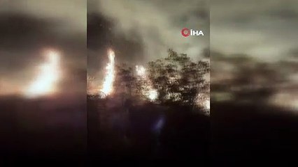 Aydın'da orman yangını! Gece gündüze döndü...