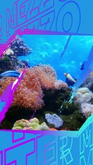 Sherpa, Pemandu Gunung Terlatih dengan Bayaran Ratusan Juta Rupiah