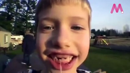 El ratón de las células madre