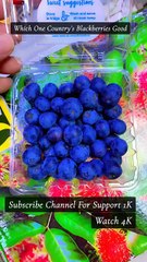 Delicious Cranberry Fruits For Health