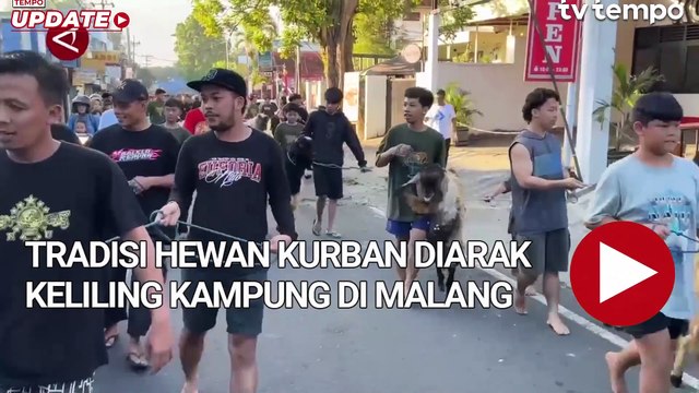 Tradisi Hewan Kurban Diarak Keliling Kampung di Malang