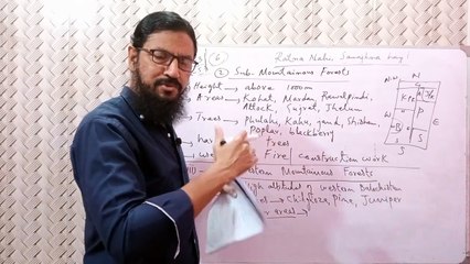 canal forests  _ resources of pakistan _ 10 class pst chapter 5 _ sindh  board #pakistanstudies