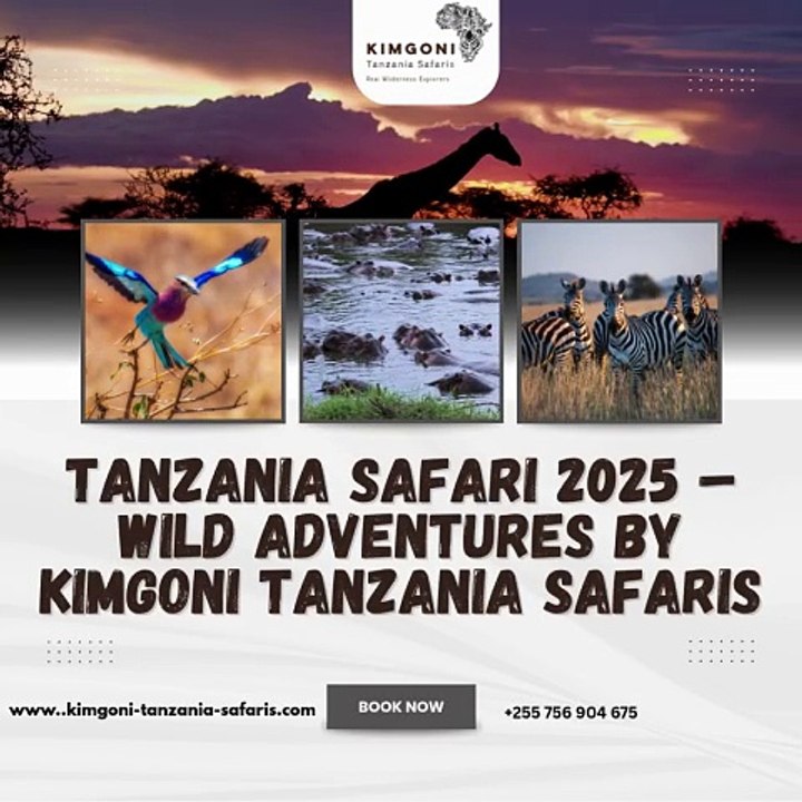Tanzania Safari 2025 – Wild Adventures by Kimgoni Tanzania Safaris