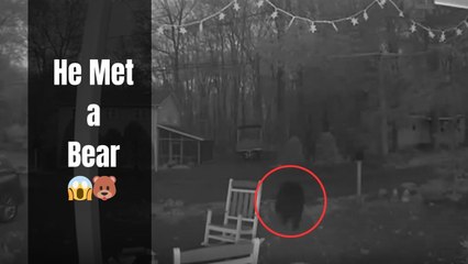 'Who Was More Startled?' - Bear has a funny reaction after being spotted by resident of the property he was on