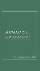 LA CATARACTE