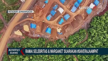 Hashtag SaveRajaAmpat Trending! Tambang Nikel Dikecam Susi Pudjiastuti Hingga Aktor Darius Sinathrya