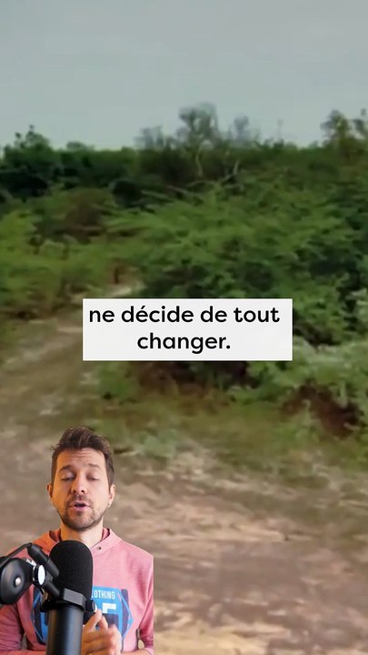 Il transforme un désert en forêt !