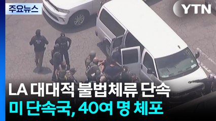 LA 대대적 불법 체류자 단속..."한인도 구금돼" / YTN