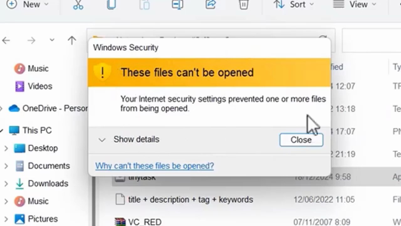 Fix "These Files Can't Be Opened" Error in Windows 11/10/8/7 | Internet Security Settings Blocked File ✅