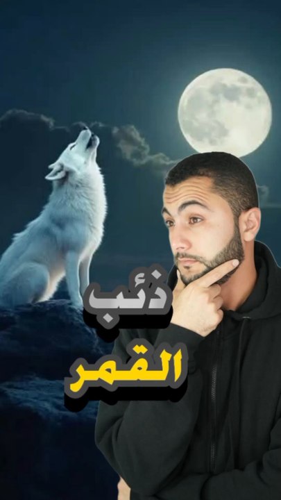 ذئب القمر🐺 حقيقة ولا خرافة؟🤔https://psce.pw/7plk4v#النواة #ذئب_القمر#Alnawa #dubai🇦🇪 #Maned_Wolf #Chrysocyon_brachyurus #dubailife #trending #travel #nature #wildlife