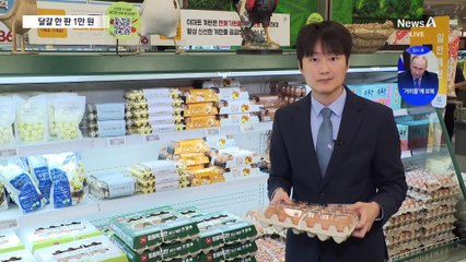 달걀 한 판에 ‘1만 원’…담합 때문? AI 때문?