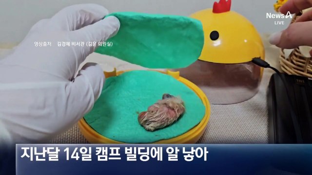 [여랑야랑]임명번호 9999999