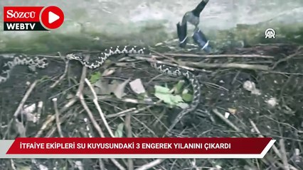 Balıkesir'de itfaiye ekipleri su kuyusundaki 3 engerek yılanını çıkardı