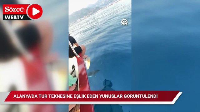 Alanya'da tur teknesine eşlik eden yunuslar görüntülendi