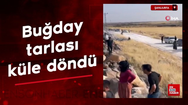 Şanlıurfa'da buğday tarlası küle döndü
