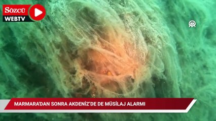 Marmara'dan sonra Akdeniz’de de müsilaj alarmı