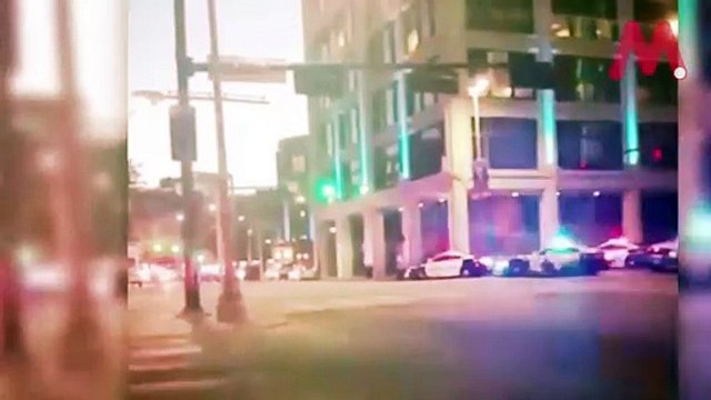 Libertad: Arma de doble filo