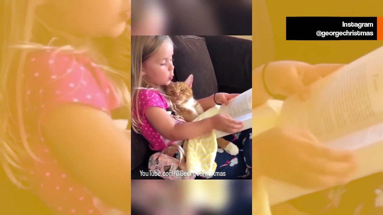 Söpö video näyttää hellyyttäviä hetkiä vauvojen ja kissojen välillä