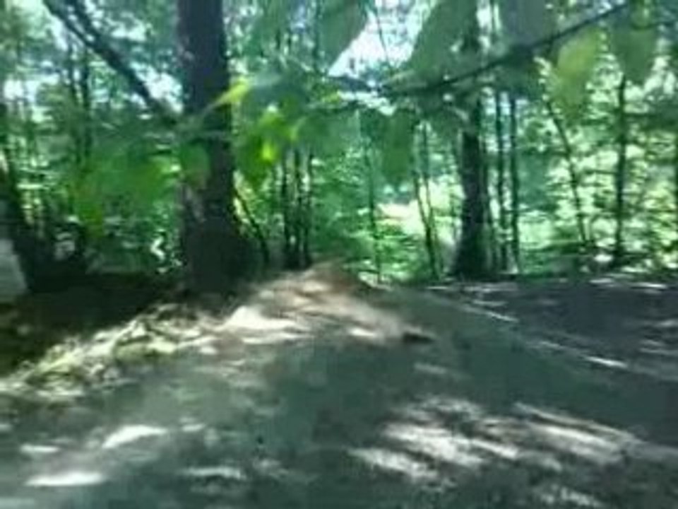velo 3
