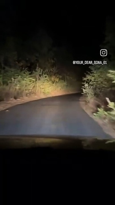 Vijay Mallya Podcast: Rise & Downfall Of Kingfisher Airlines, Loans & RCB | FO364 Raj Shamani