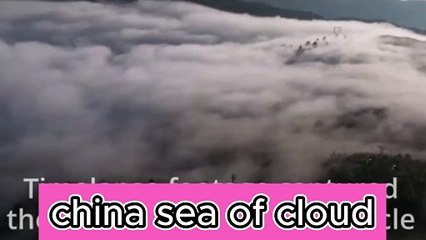 Nature Secrets Above all (watch)
