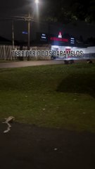 Fiscalização em Curitiba motoboy pede permissão para passar por rua dominada por vira-latas caramelo