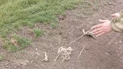 Woman displays heartwarming compassion while helping a bird in need