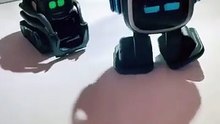 Vector and Emopet dance together #robot #emopet #livingai