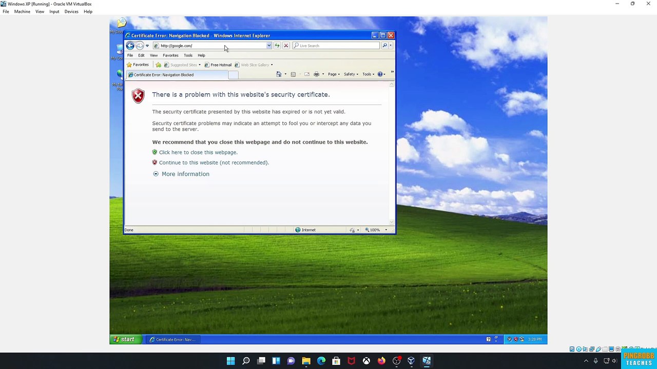 Online with Windows XP in 2023 - The Easy Way!