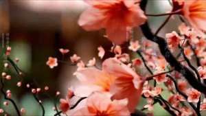 Feud (Lament Of The River) Ep 8 Engsub