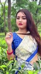 Chal Champa Chal || WhatsApp status || Love song || Short video || assamese new song
