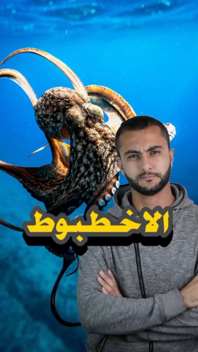 😱⚠️ الحيوان اللي قلبه في راسهhttps://psce.pw/7pma8l#النواة #الأخطبوط#Alnawa #dubai🇦🇪 #Octopoda #dubailife #trending #travel #nature #wildlife