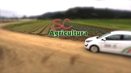 Confira a íntegra do programa SC Agricultura deste sábado (07)!