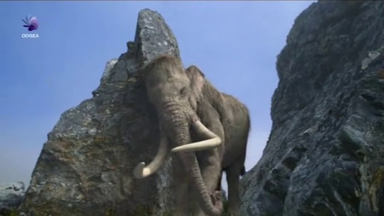 Documental Gigantes del Hielo: Los Últimos Gigantes de la Tierra