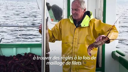 À Port-Cros, la plus vieille aire marine protégée d'Europe "montre le futur"