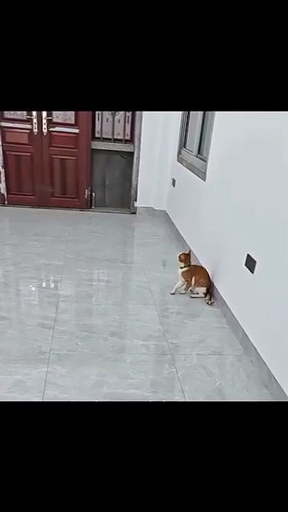 #Funny #Comedy #LOL #Hilarious #Humor #LaughOutLoud #SketchComedy #FunnySkits #Parody #Fails #Relatable #MemeLife #JokesOnYou #StandupComedy #FunnyShorts #YouTubeShorts #ShortsFeed #ViralShorts #TryNotToLaugh #DailyLaughs #TooFunny #Sarcasm #DadJokes #Cri