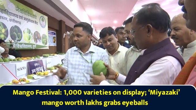 Mango Festival: 1,000 varieties on display; ‘Miyazaki’ mango worth lakhs grabs eyeballs